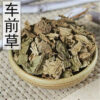车前草 454g